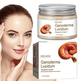 Face Cream Fine Line Smoothing Day-BH00206-Veeddydropshipping
